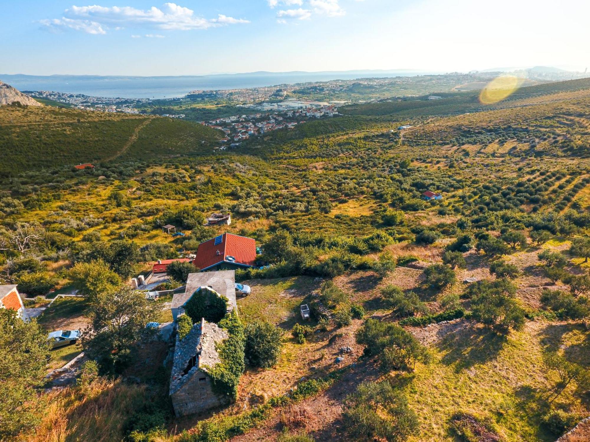 Villa Olive Garden House In Zrnovnica With A View & Bbq Extérieur photo