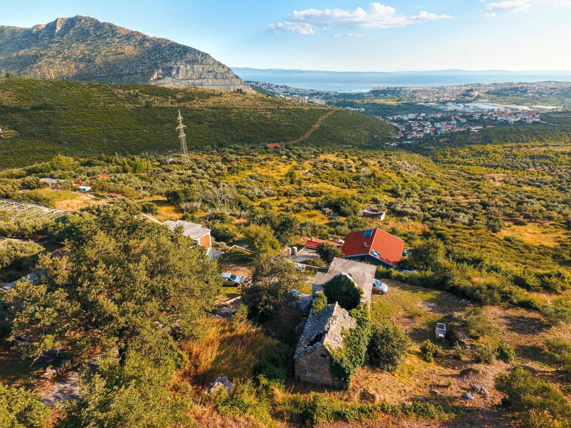 Villa Olive Garden House In Zrnovnica With A View & Bbq Extérieur photo