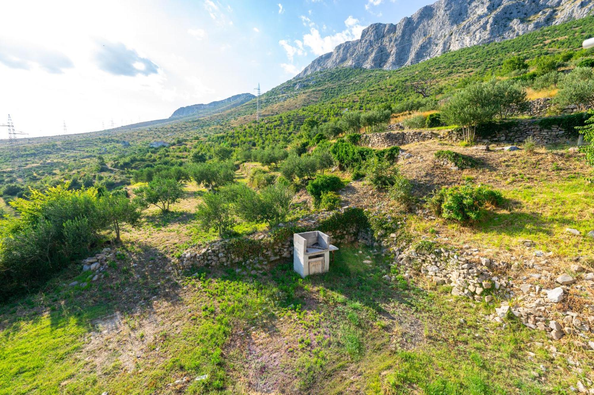 Villa Olive Garden House In Zrnovnica With A View & Bbq Extérieur photo